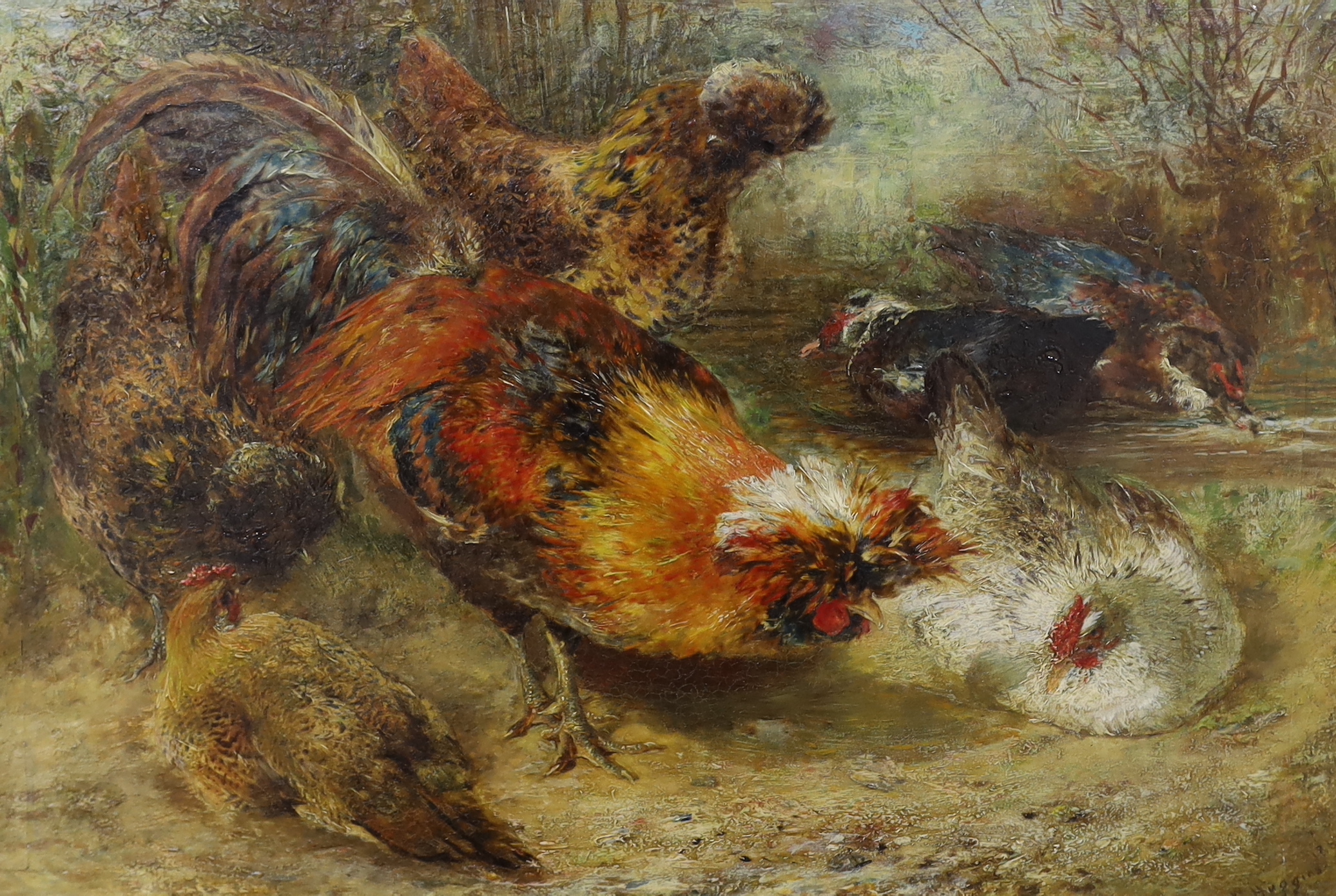 William Huggins (1820-1884), oil on board, Cockerel and chickens, signed, 31 x 46cm